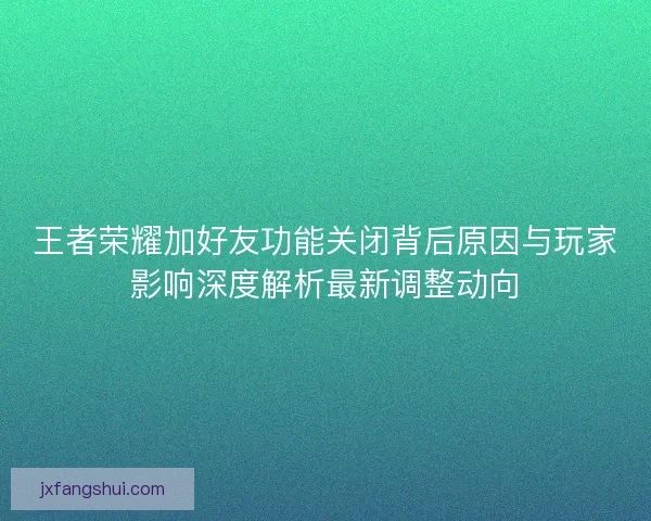 王者荣耀加好友功能关闭背后原因与玩家影响深度解析最新调整动向
