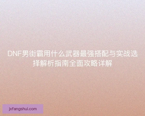 DNF男街霸用什么武器最强搭配与实战选择解析指南全面攻略详解