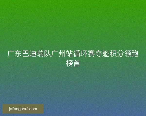 广东巴迪瑞队广州站循环赛夺魁积分领跑榜首